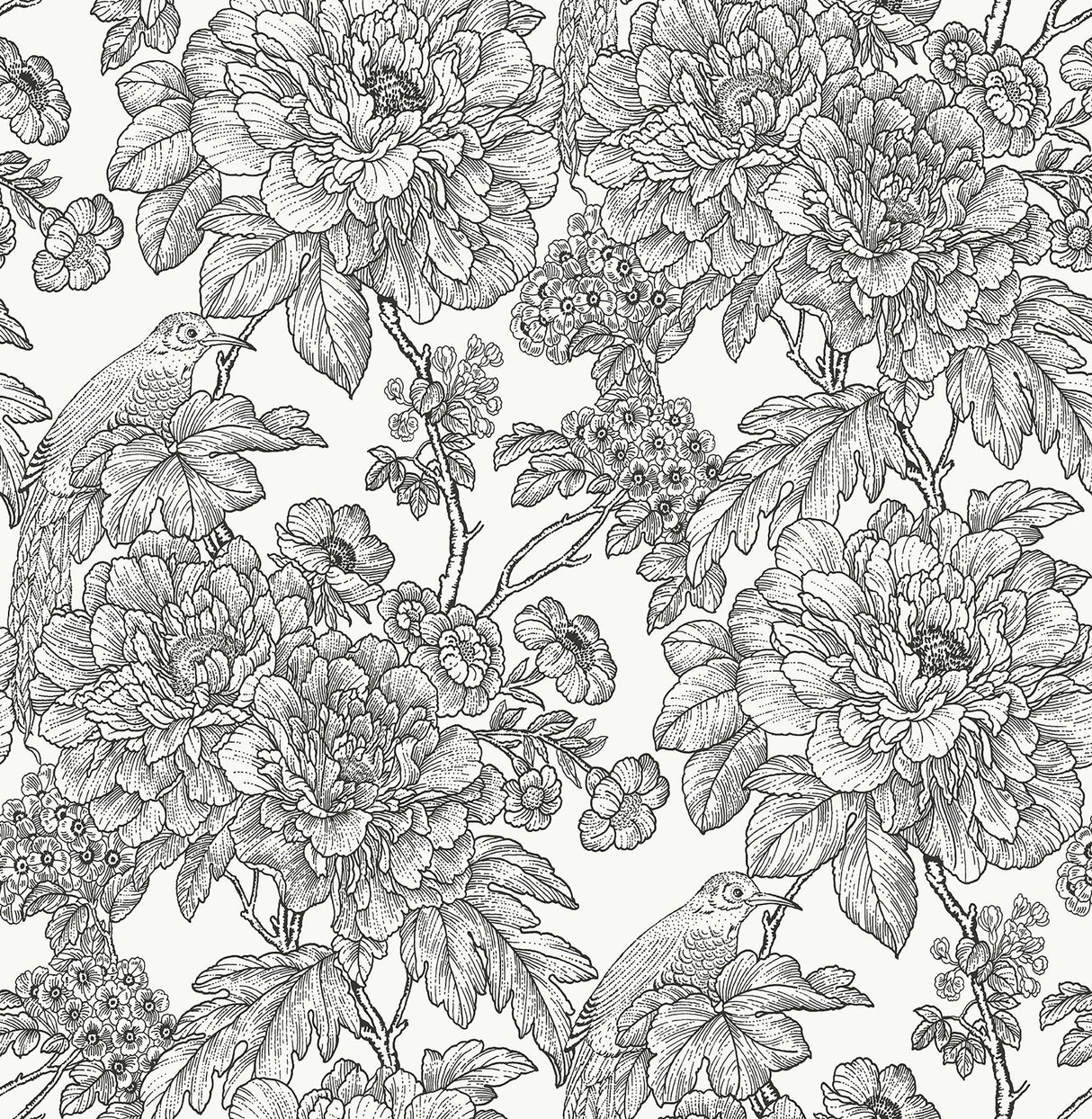 Sudbury Black & White Peel & Stick Wallpaper with Vintage Floral Pattern - NuWallpaper NUS3544