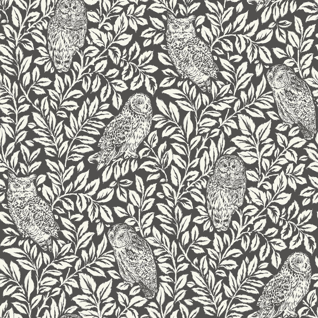 Sleepy Owls Charcoal Peel & Stick Wallpaper with Woodland Owl Motif - NuWallpaper NUS3625