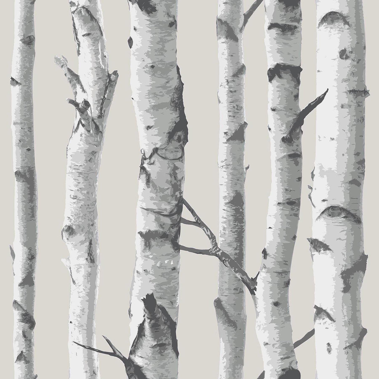 Grey Birch Tree Peel & Stick Wallpaper with Nature Birch Tree Pattern - NuWallpaper NUW1650