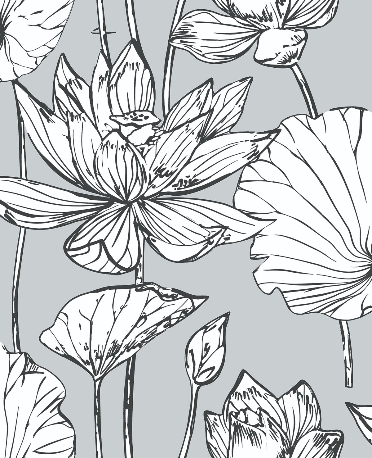 Lotus Floral gray and ebony line-drawn floral peel and stick wallpaper