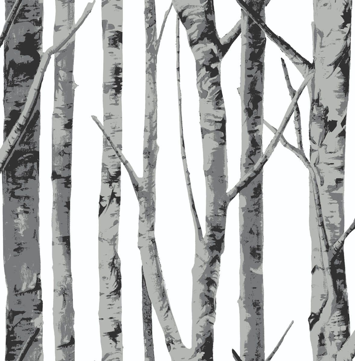 Monochrome birch trees peel and stick wallpaper pattern in grey and white