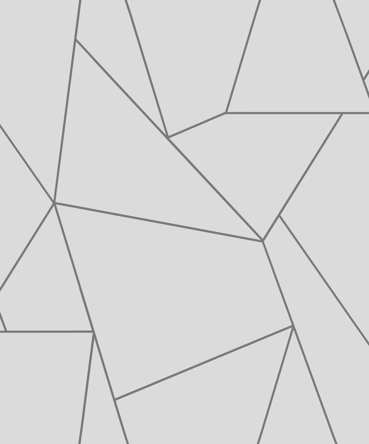 Nazca White & Silver Geometric Metallic Non Woven Wallpaper - York NW3501