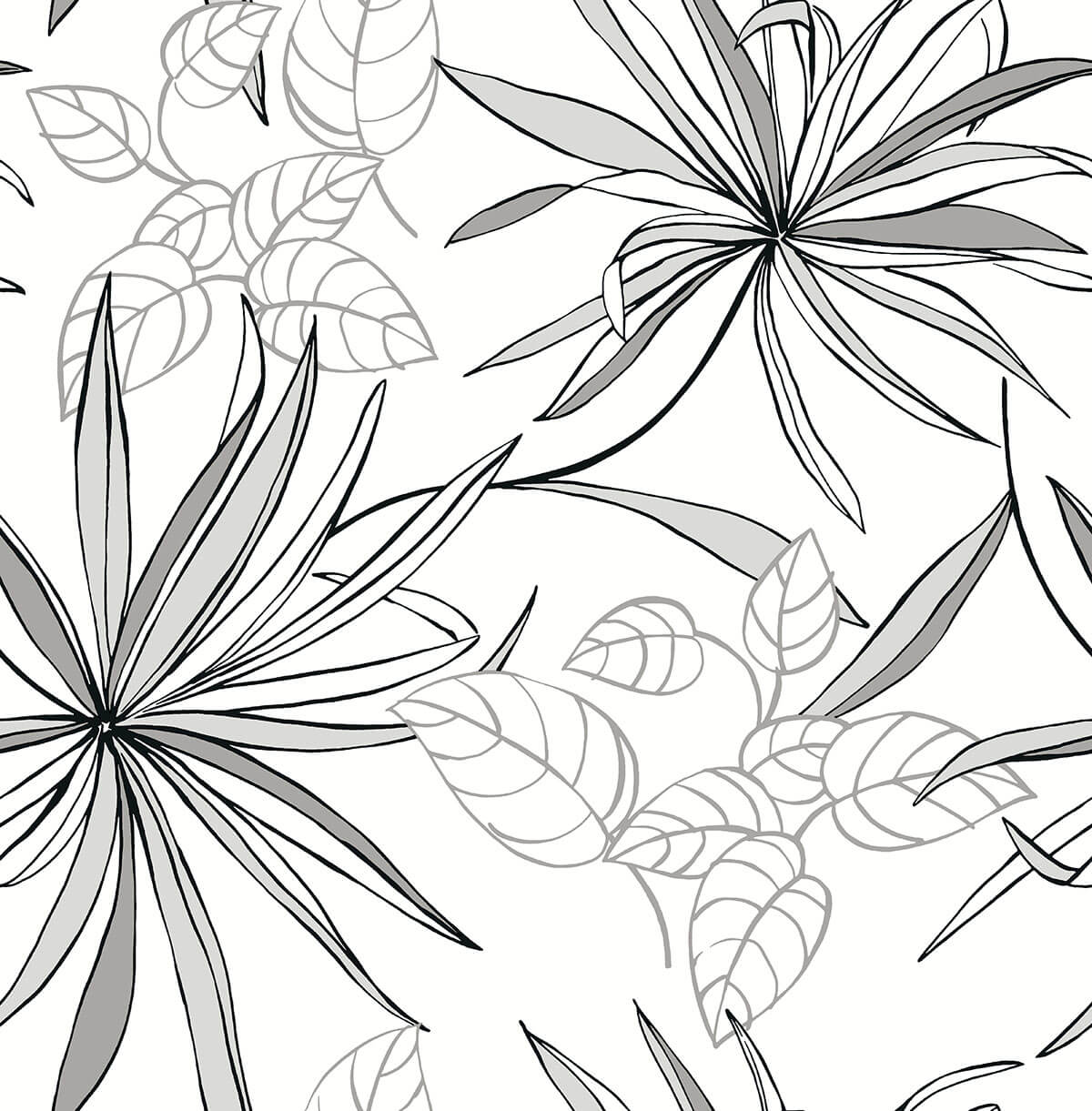 Spider Plants grayscale peel and stick wallpaper with hand-drawn botanical leaves
