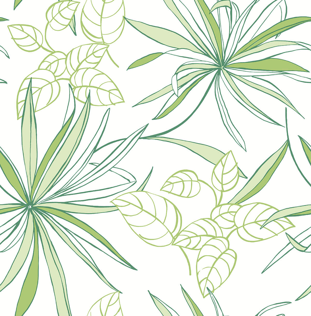 Spider Plants peel and stick wallpaper pattern in green on white background by NextWall (NW36304).
