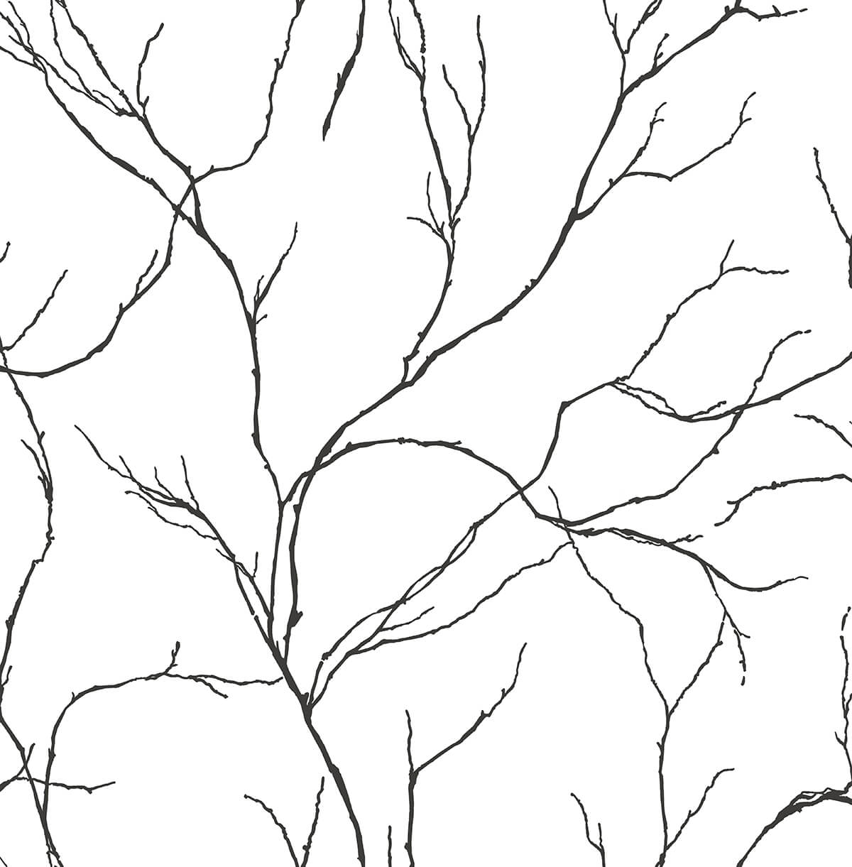 Delicate Branches wallpaper in Ebony featuring thin black branch silhouettes on a white background.