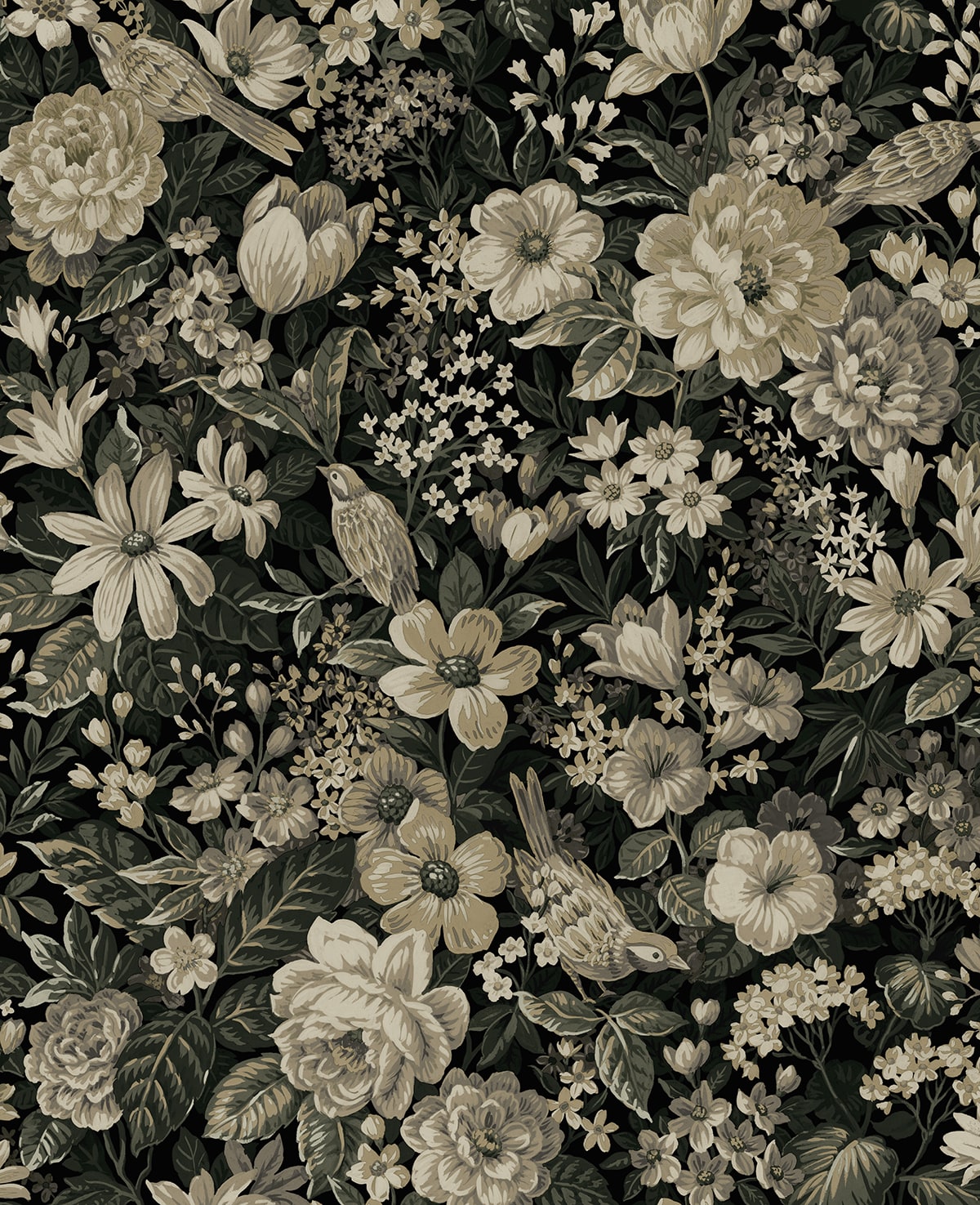 Vintage Bird Garden peel and stick wallpaper in ebony black with pale fern florals and birds