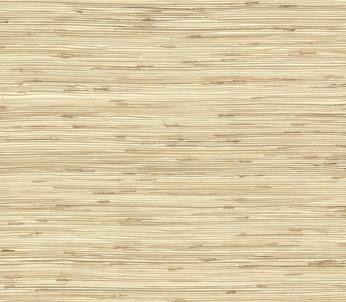 River Grass Beige Grasscloth Wallpaper with Natural Woven Weave - York NZ0781