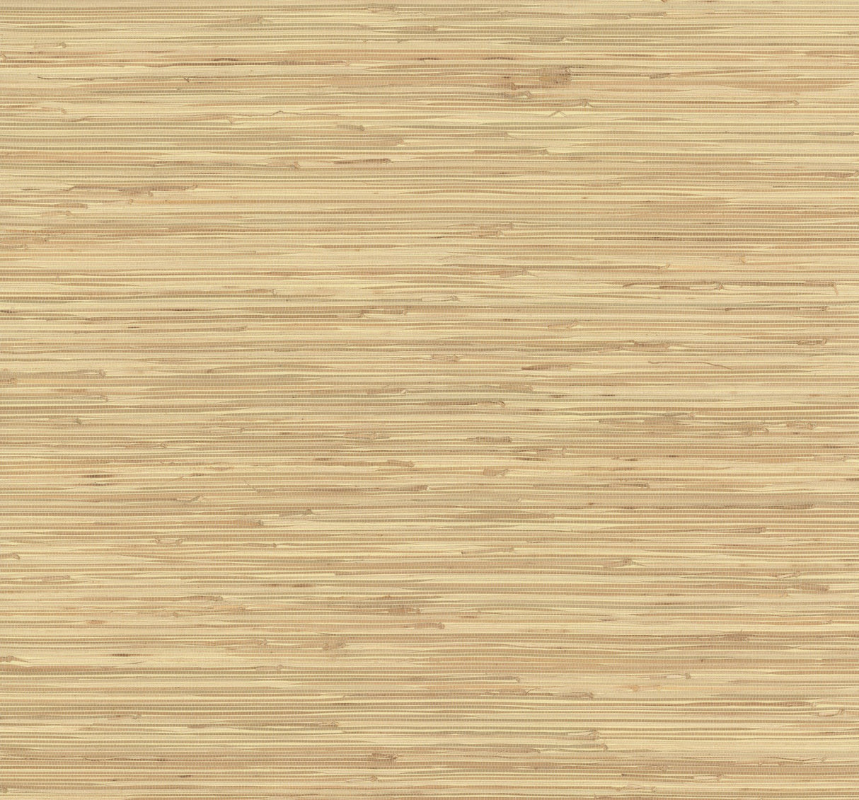 River Grass Beige Grasscloth Wallpaper with Natural Woven Weave - York NZ0787