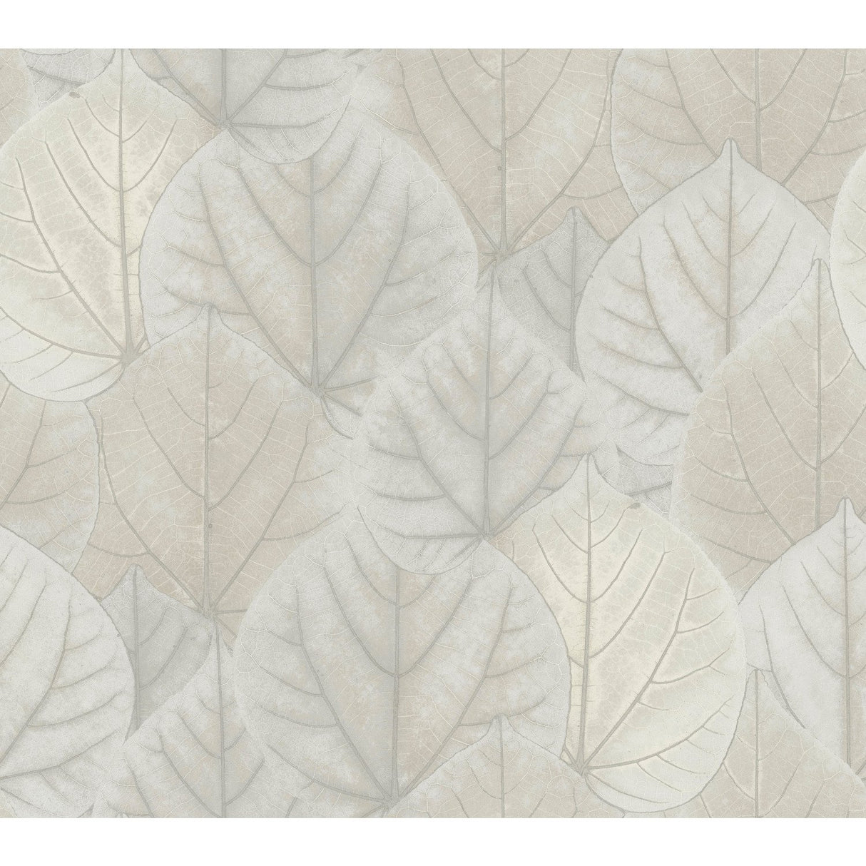 Leaf Concerto Grey Wallpaper with Botanical Leaf Pattern - York OS4246