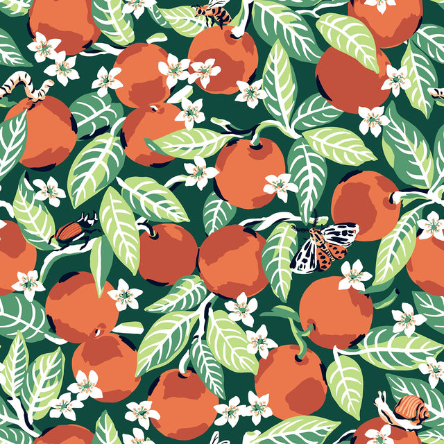 Orange Grove Juniper Peel & Stick Wallpaper with Botanical Fruit Motif - PFS4816
