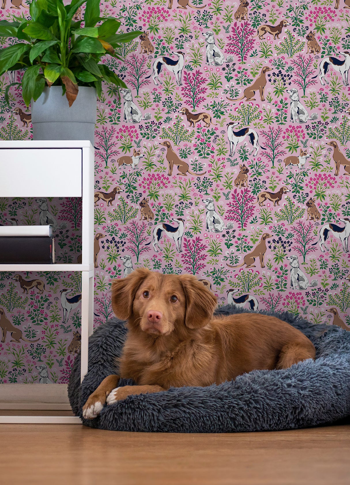 Must Love Dogs Pink Peel and Stick Wallpaper by NuWallpaper x PrintFresh - Playful Dog and Floral Pattern for Home or Rental Decor PFS6379