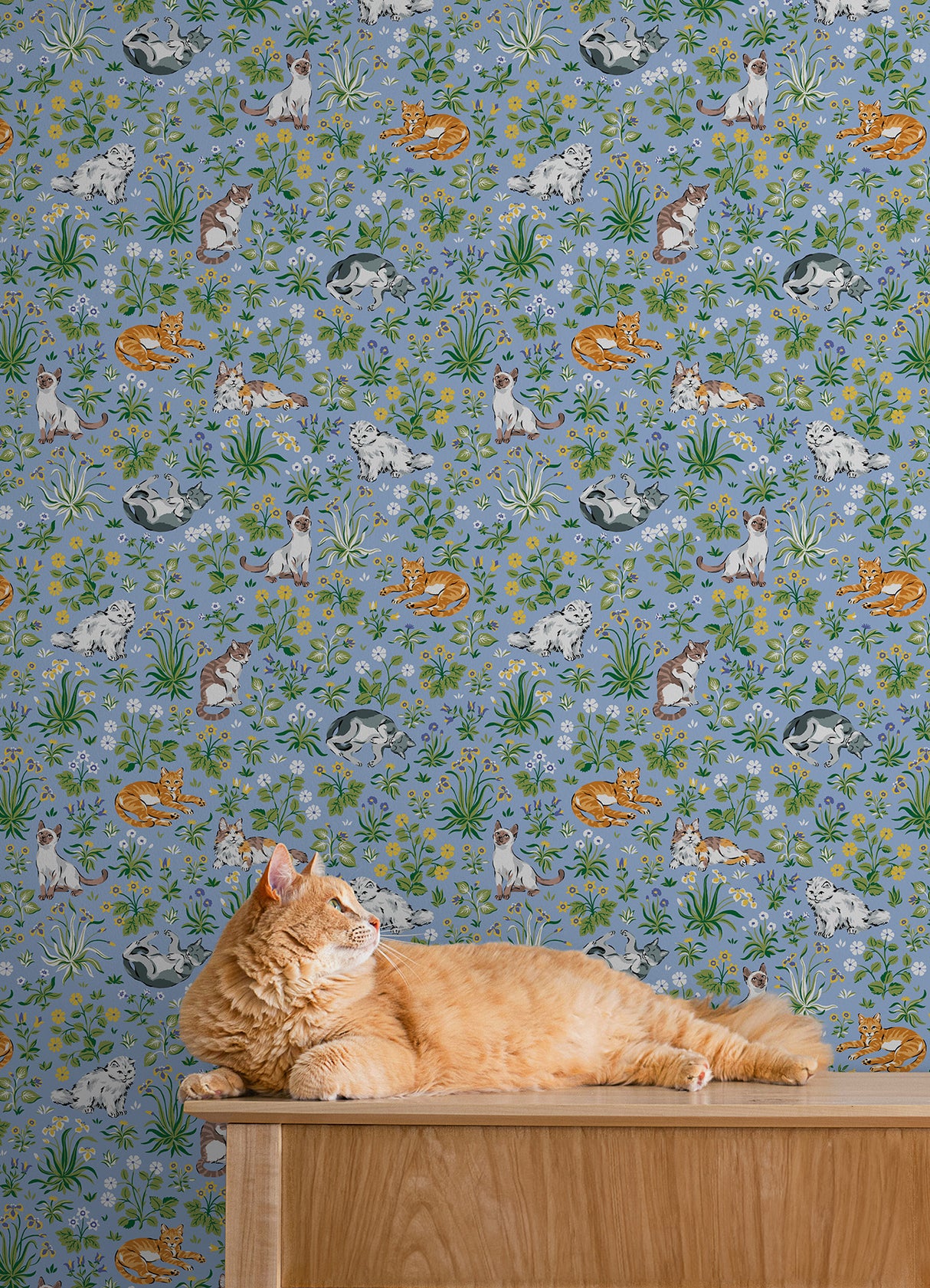 Must Love Cats Blue by NuWallpaper Whimsical Illustrated Felines with Colorful Botanical Garden Scenes Peel and Stick Wallpaper - PFS6567