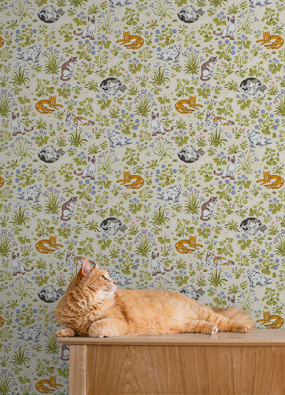 Must Love Cats Linen by NuWallpaper Eclectic Illustrated Cats and Colorful Botanical Garden Peel and Stick Wallpaper - PFS6568