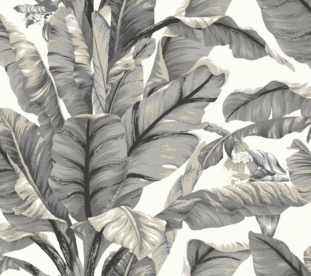 Banana Leaf White & Black Peel & Stick Wallpaper with Botanical Tropical Motif - York PSW1037RL