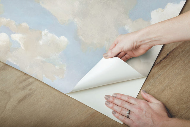 Clouds on Canvas Blue Peel & Stick Wallpaper with Painterly Cloud Motif - York PSW1079RL
