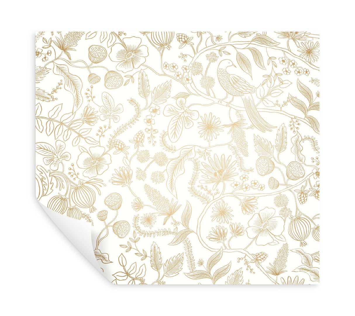 Aviary Off White & Gold Peel & Stick Wallpaper with Botanical Bird Linework - York PSW1309RL