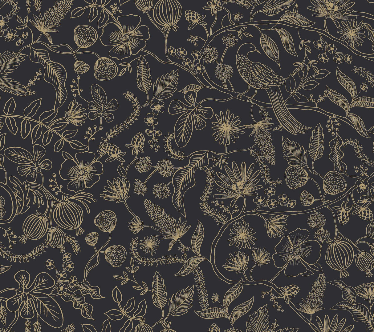 Aviary Black & Gold Peel & Stick Wallpaper with Botanical Bird Linework - York PSW1310RL