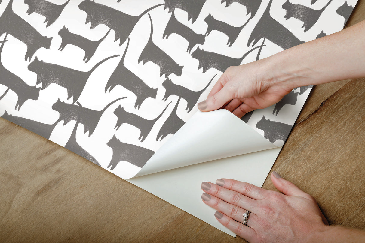 Cat Tails Black Peel & Stick Non Woven Wallpaper with Matte Finish - York PSW1340RL