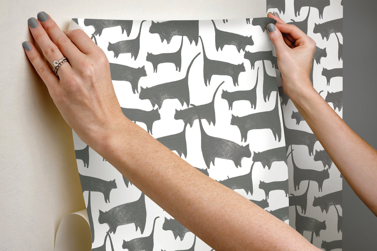 Cat Tails Black Peel & Stick Non Woven Wallpaper with Matte Finish - York PSW1340RL