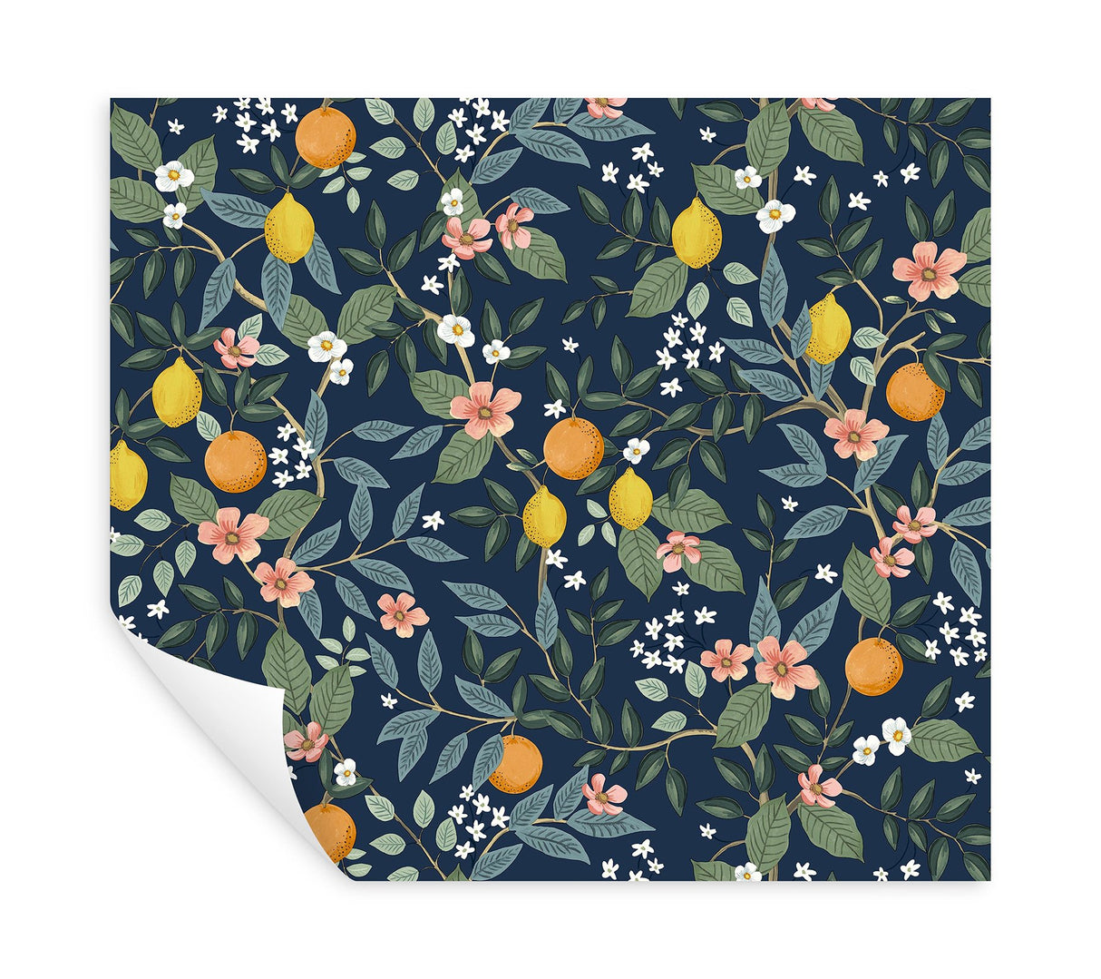 Citrus Grove Navy Peel & Stick Wallpaper with Botanical Citrus Motif - York PSW1481RL