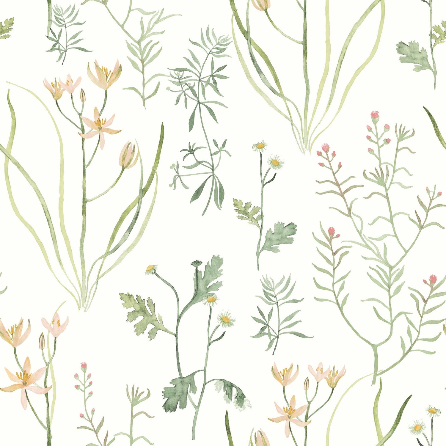 Alpine Botanical Peach Peel & Stick Wallpaper with Watercolor Botanical Pattern - York PSW1519RL
