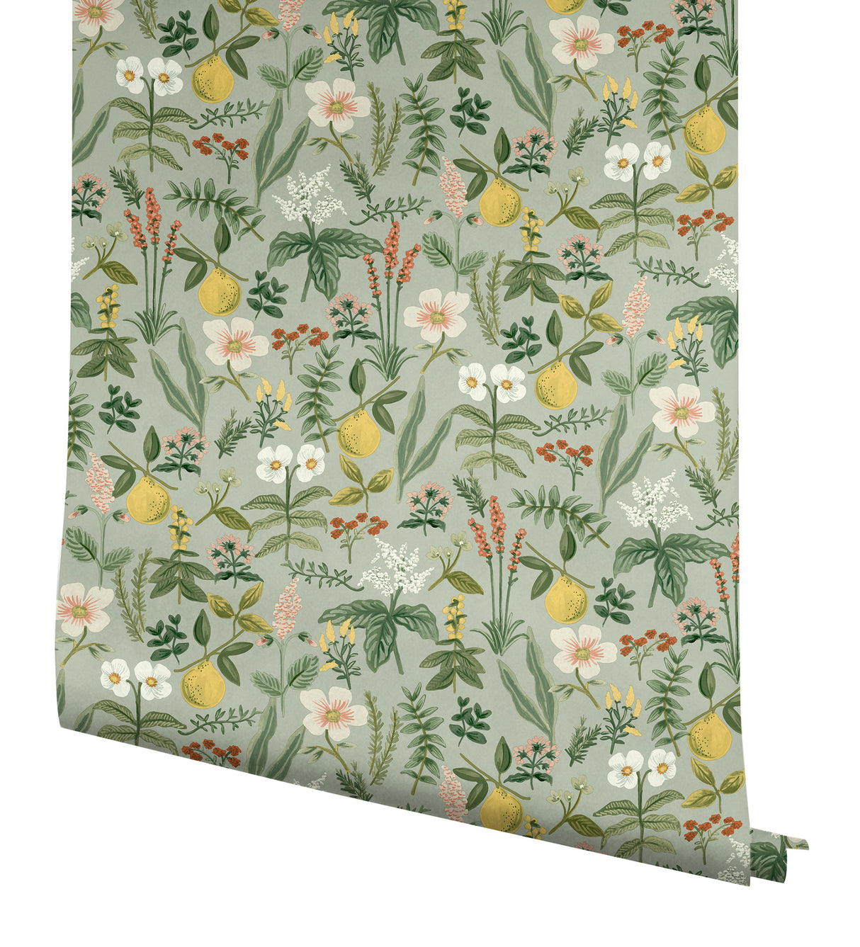 Herb Garden Sage by Rifle Paper Co. Botanical Premium Peel & Stick Wallpaper – York Wallcoverings PSW1675RL