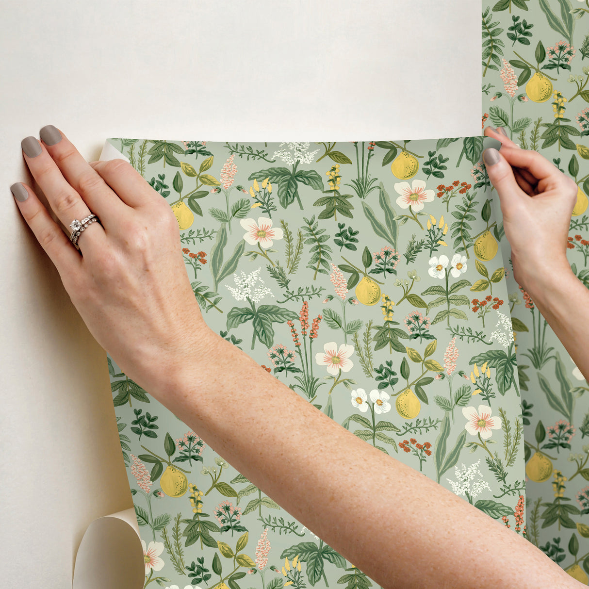 Herb Garden Sage by Rifle Paper Co. Botanical Premium Peel & Stick Wallpaper – York Wallcoverings PSW1675RL