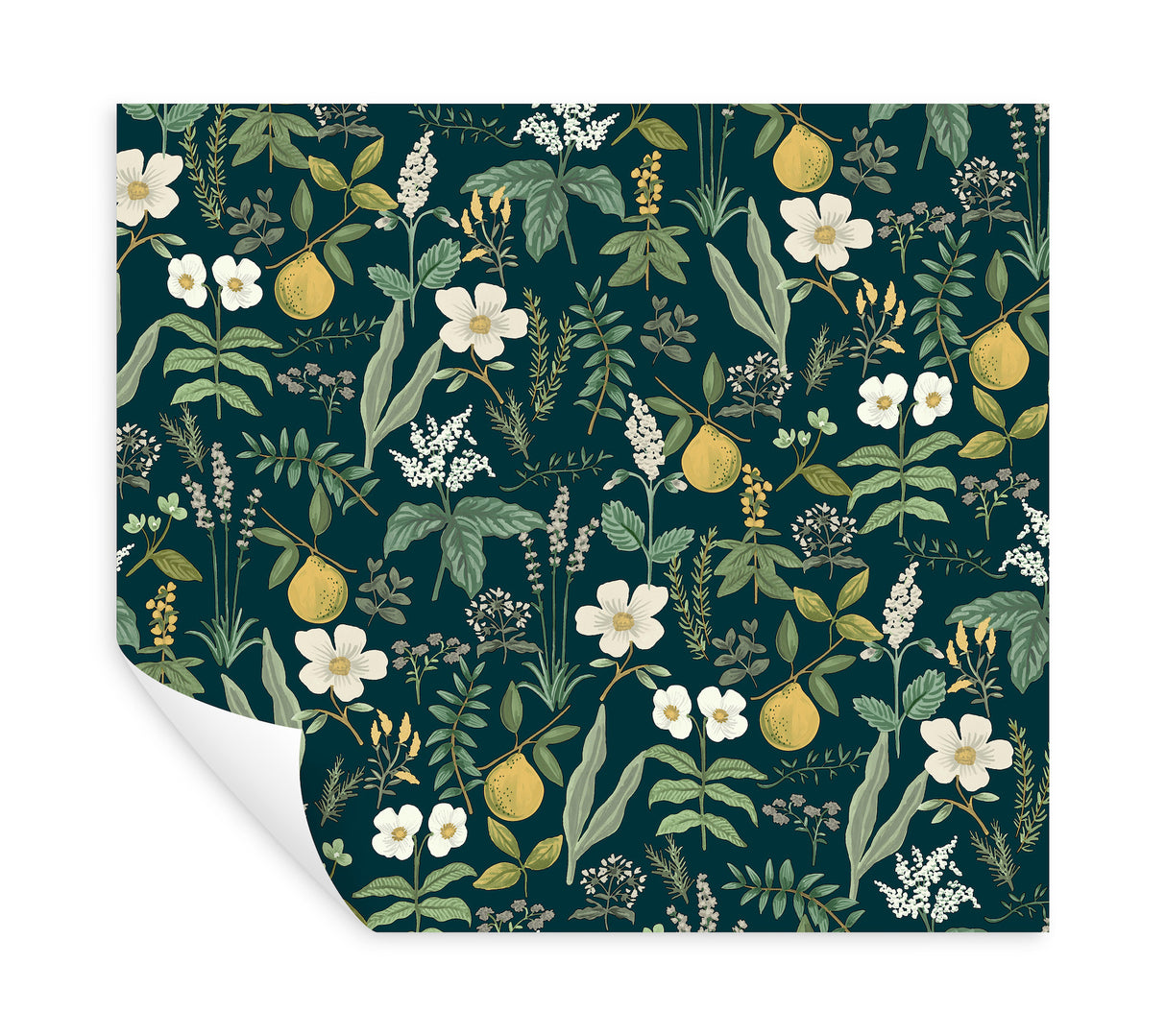 Herb Garden Navy by Rifle Paper Co. Botanical Premium Peel & Stick Wallpaper – York Wallcoverings PSW1677RL