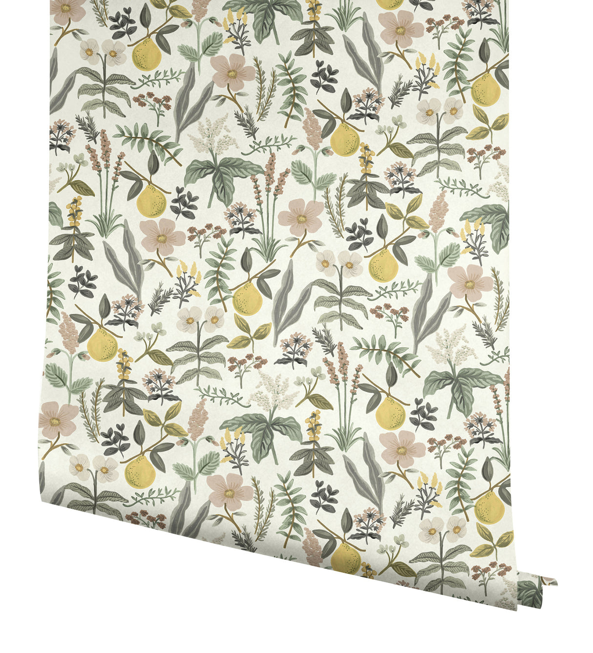Herb Garden Cream by Rifle Paper Co. Botanical Premium Peel + Stick Wallpaper – York Wallcoverings PSW1678RL