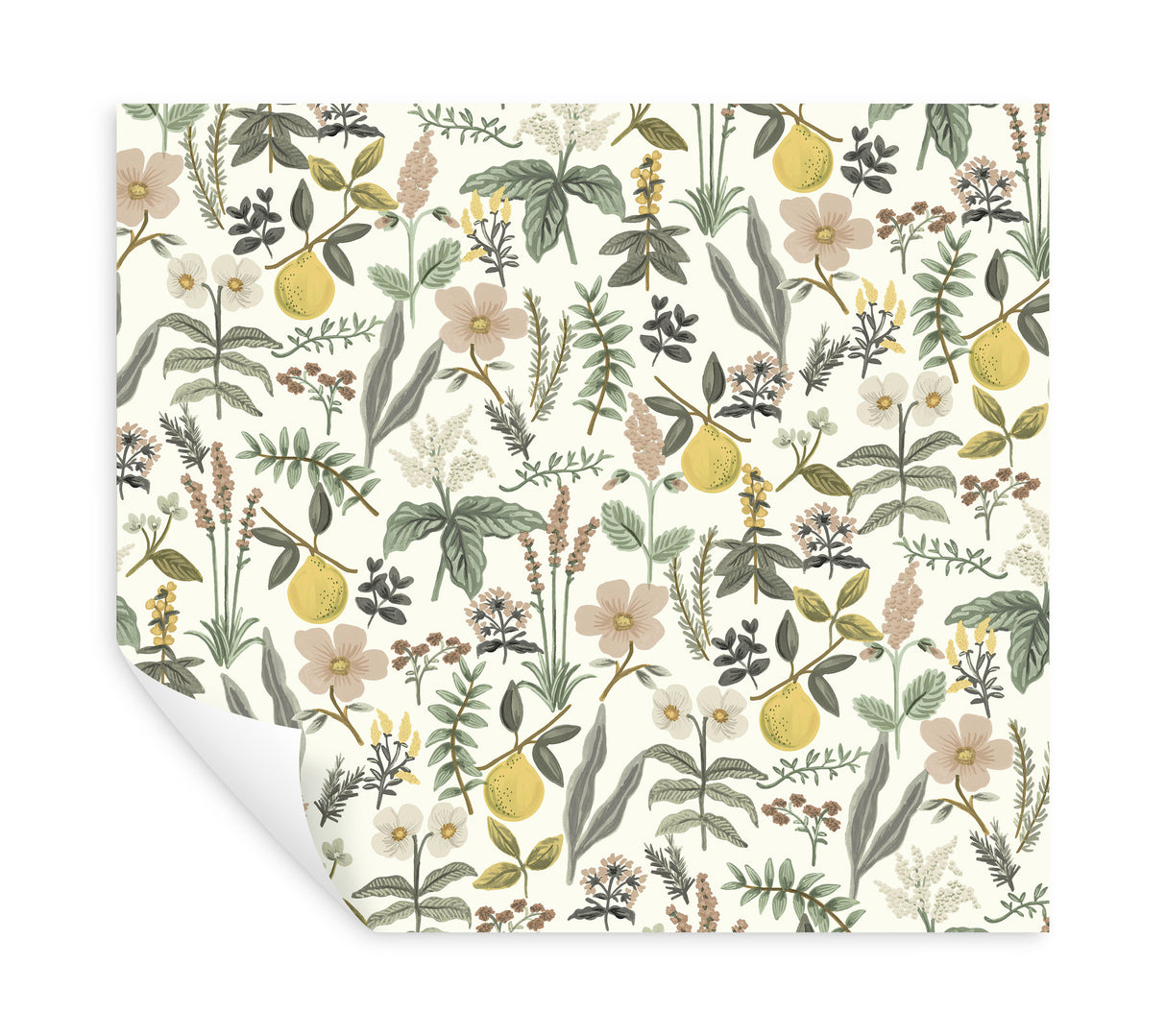 Herb Garden Cream by Rifle Paper Co. Botanical Premium Peel + Stick Wallpaper – York Wallcoverings PSW1678RL