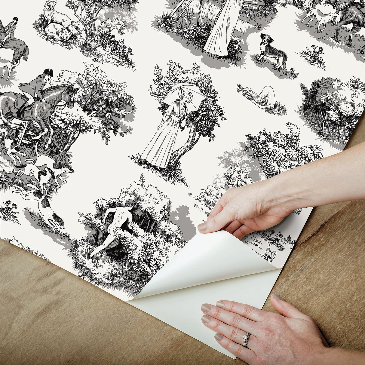 The Chase Black Peel & Stick Toile Wallpaper with Modern Graphic Motif - Brewster RAS6263