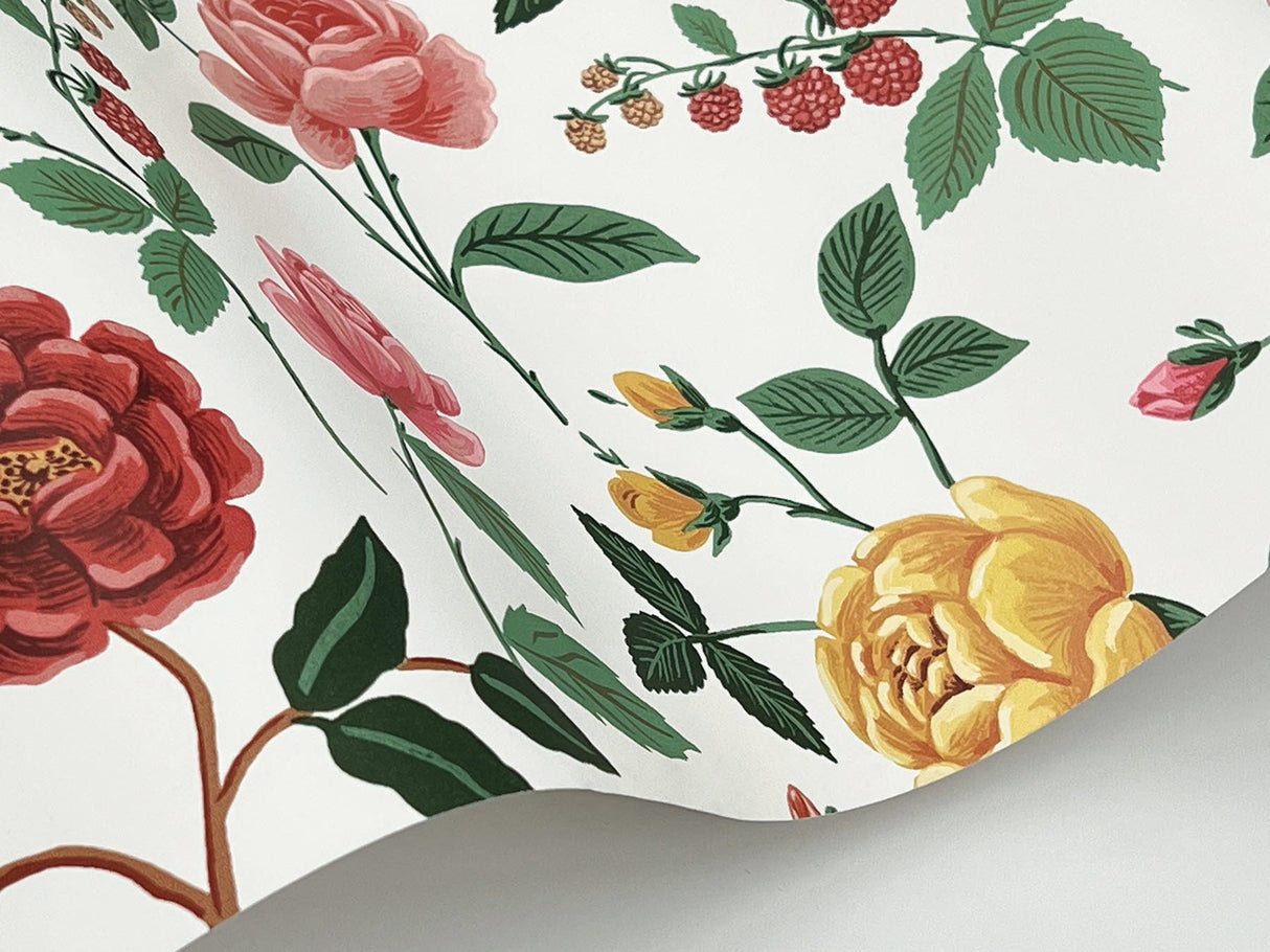 Roses Blush Wallpaper with Botanical Floral Motif, Whimsical Style - York RF7546