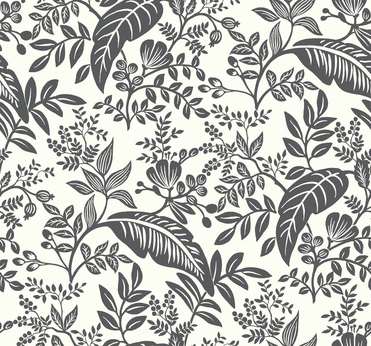 Canopy Black & White Wallpaper with Botanical Tropical Leaf Print - York RI5136