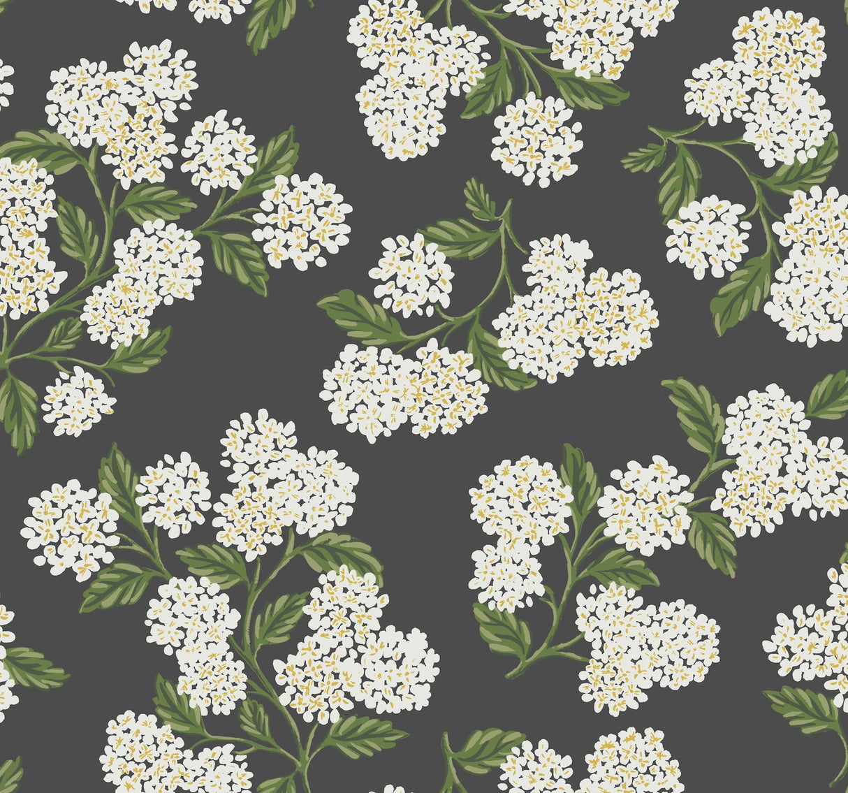 Hydrangea Black & White Wallpaper with Botanical Floral Pattern, Non Woven Drop Match - York RI5146