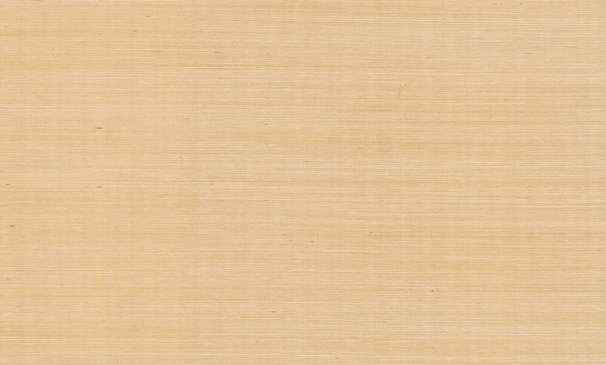 Palette Gold Metallic Sisal Grasscloth Wallpaper - York RI5185