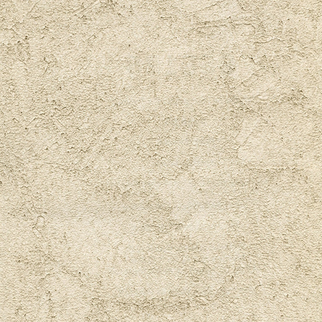 Seche Neutral Wallpaper with Distressed Textures Faux Effects - Lucky Day RJ22855W10101