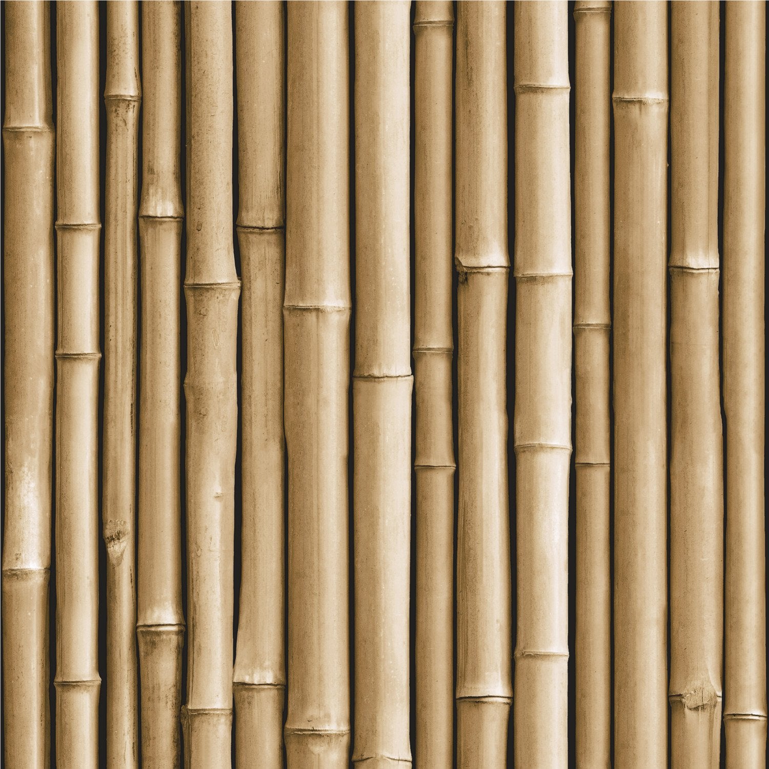 Bamboo Brown Peel & Stick Wallpaper with Vertical Bamboo Motif - RoomMates RMK11434WP