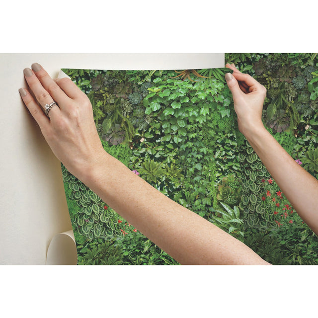 Living Wall Green Peel & Stick Wallpaper with Lush Botanical Leaves Motif - York RMK11567RL