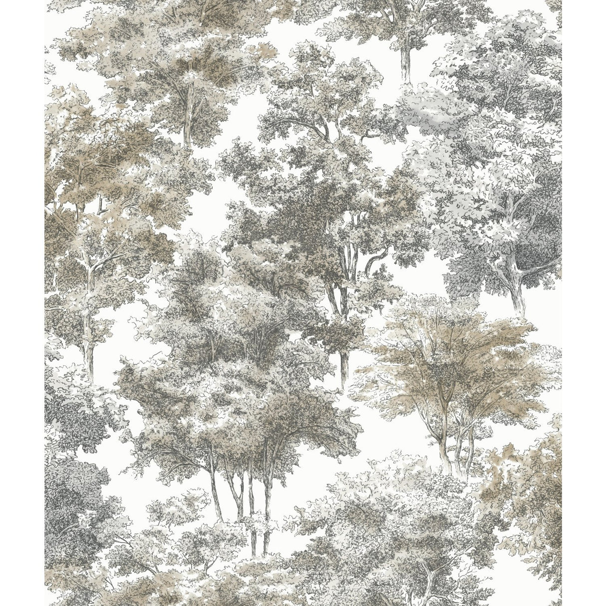 Old World Trees Grey Peel & Stick Wallpaper with Vintage Botanical Trees Pattern - York RMK11614WP