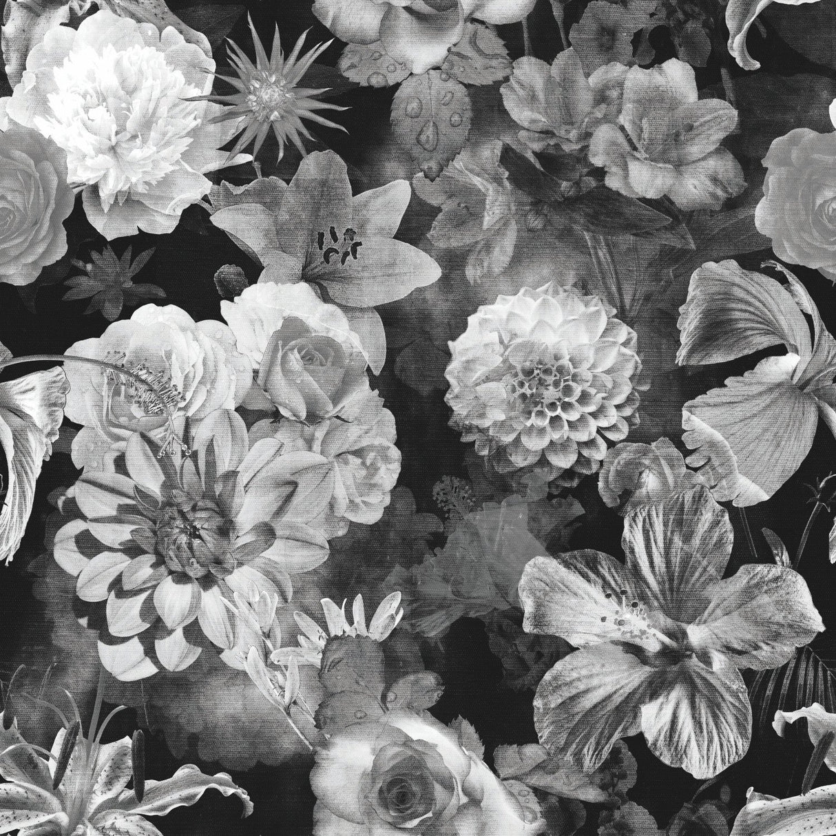 Vintage Floral Blooms Black Peel & Stick Wallpaper with Vintage Botanical Floral Pattern - York RMK11718RL