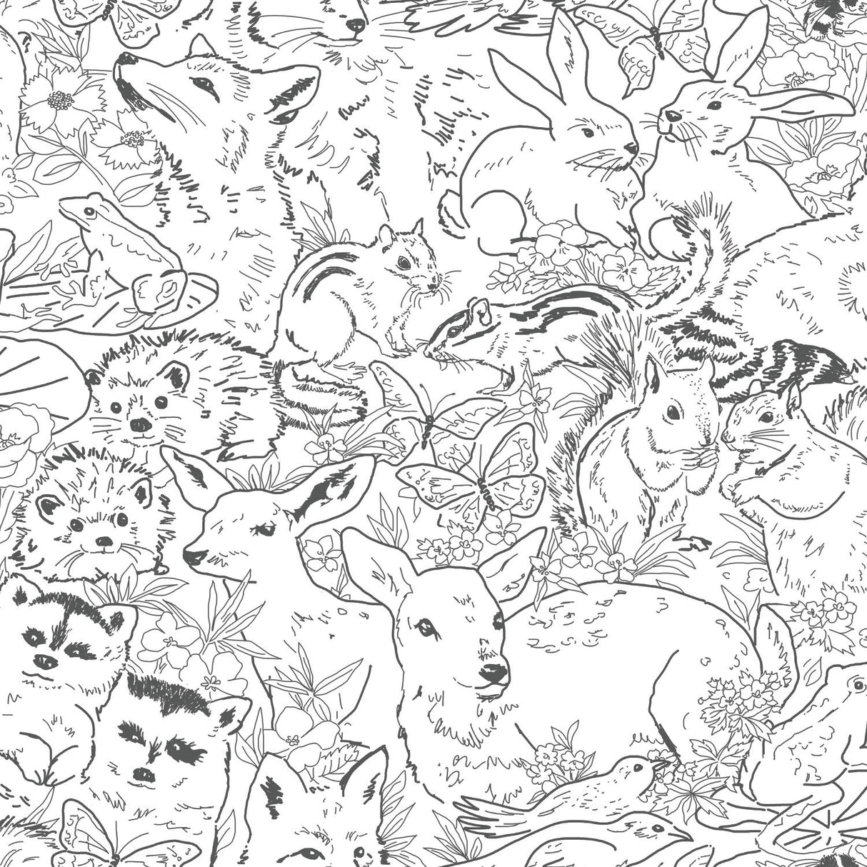 Woodland Sketch Black Peel & Stick Wallpaper with Woodland Animal Novelty Pattern - York RMK11729RL
