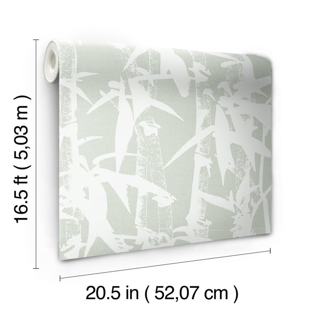 Modern Bamboo Green Peel & Stick Wallpaper with Nature Bamboo Motif, Transitional Style - York RMK12079WP