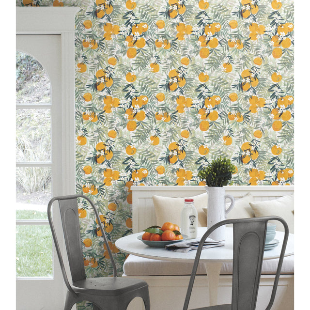 Orange Blossom Orange Peel & Stick Wallpaper with Fruit Motif - York RMK12199RL