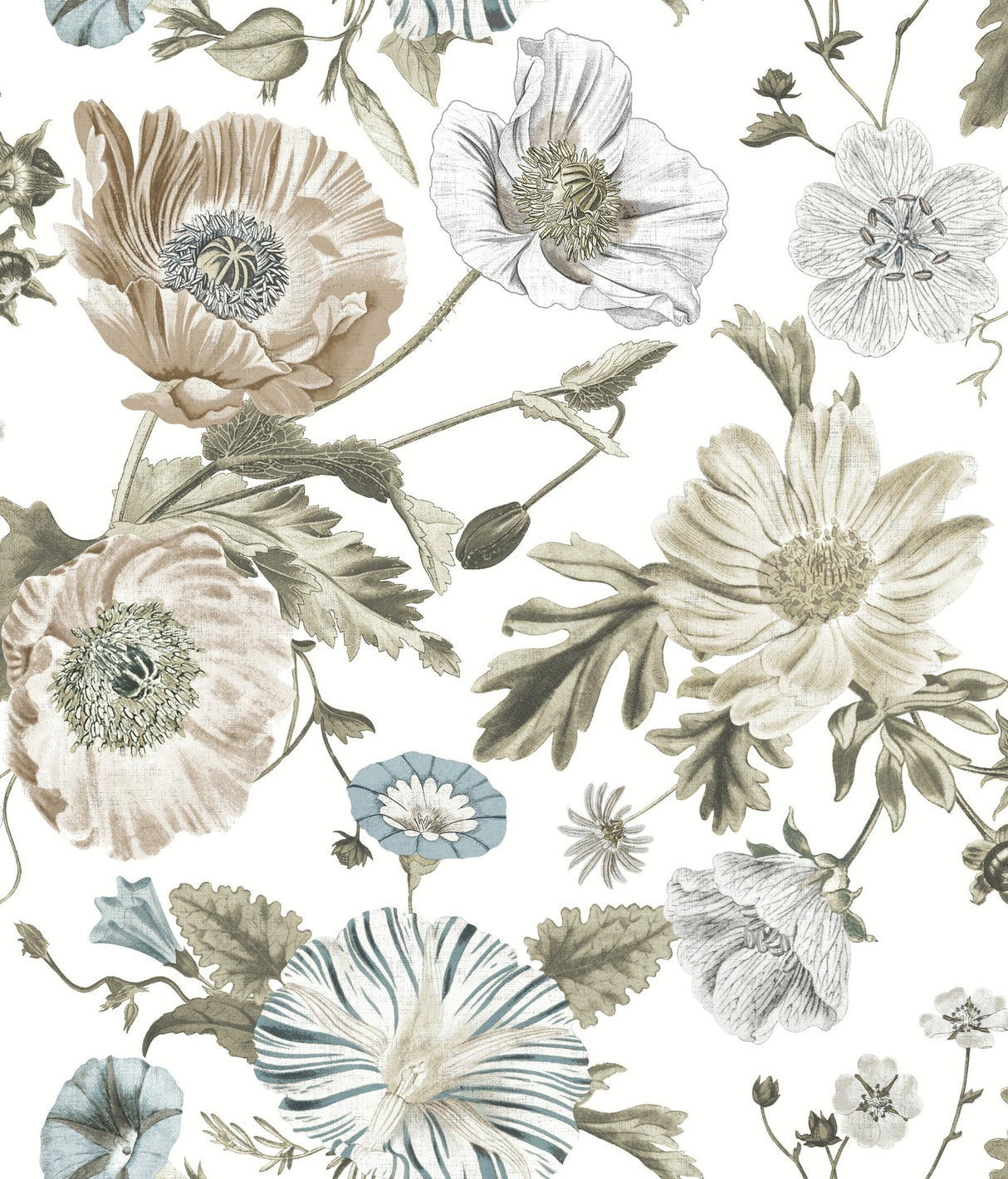 Vintage Poppy White Peel & Stick Vinyl Wallpaper with Botanical Floral Pattern, Vintage Style - York RMK12285PL