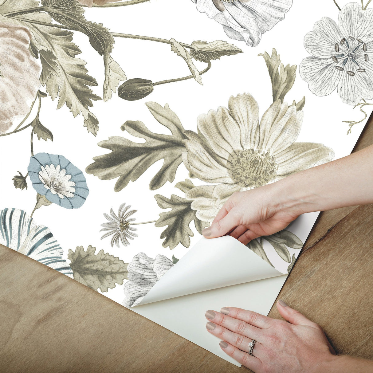 Vintage Poppy White Peel & Stick Vinyl Wallpaper with Botanical Floral Pattern, Vintage Style - York RMK12285PL