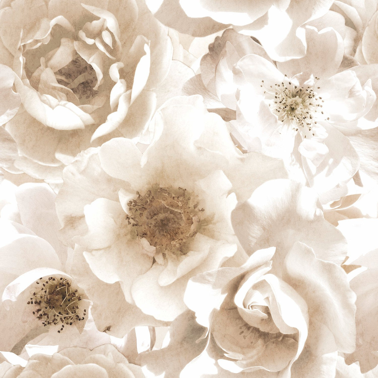 Creamy Floral Peel & Stick Wall Mural in Cream - Mr. Kate Whimsical Botanical Vinyl, 108 in x 108 in - York RMK12324M