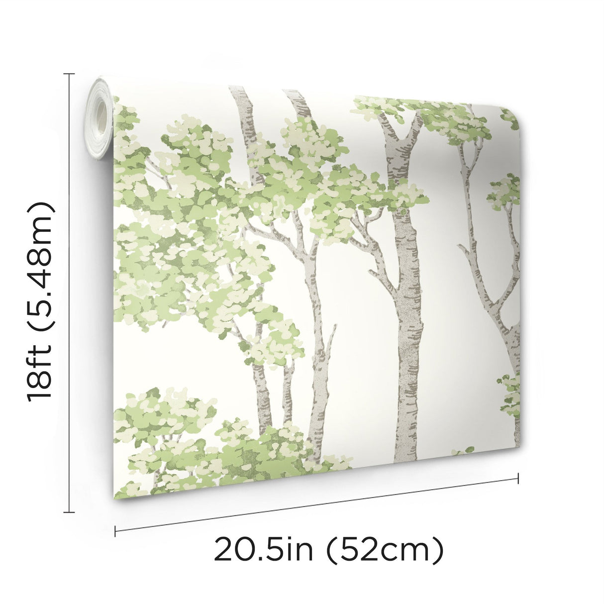 Birch Grove Green Peel & Stick Wallpaper with Botanical Birch Tree Pattern - York RMK12342PLW