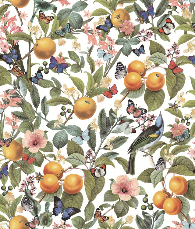 Citrus White Peel & Stick Wallpaper with Fruit and Botanical Motif - York RMK12345PL