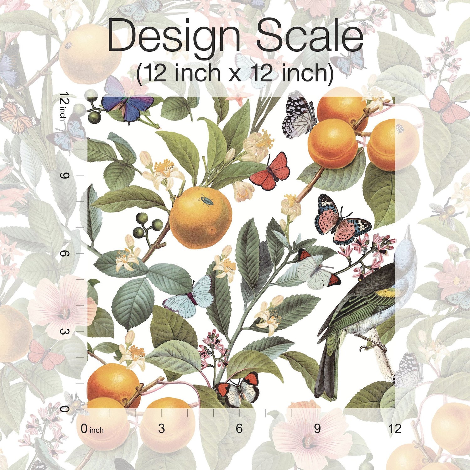 Citrus White Peel & Stick Wallpaper with Fruit and Botanical Motif - York RMK12345PL