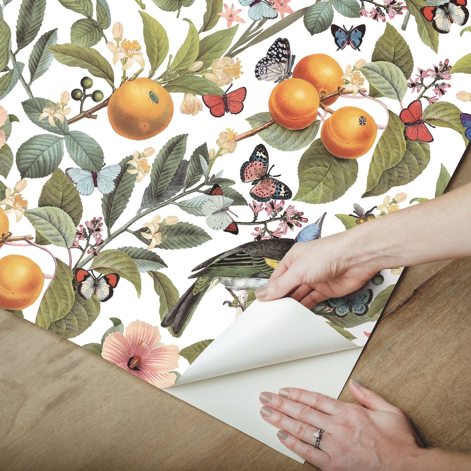 Citrus White Peel & Stick Wallpaper with Fruit and Botanical Motif - York RMK12345PL
